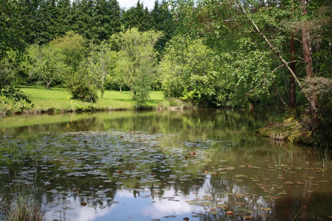 Spruce Lake Sauviat-sur-Vige エクステリア 写真
