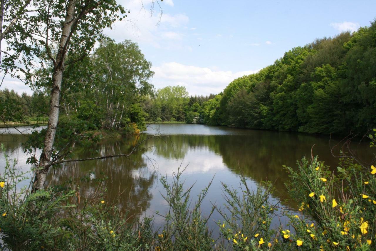 Spruce Lake Sauviat-sur-Vige エクステリア 写真
