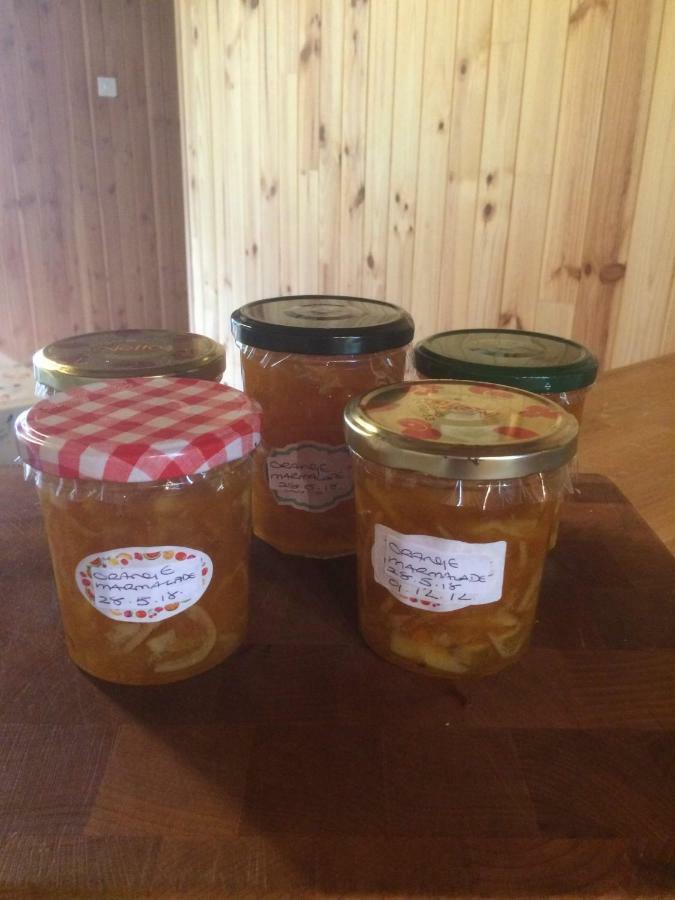 Spruce Lake Sauviat-sur-Vige エクステリア 写真